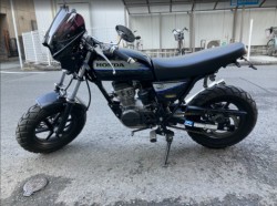 �z���_�G�C�v50�i���Q���F�a���s�j�摜3