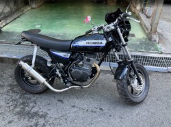 �z���_�G�C�v50�i���Q���F�a���s�j�摜1