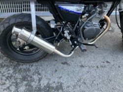 �z���_�G�C�v50�i���Q���F�a���s�j�摜6