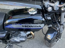 �z���_�G�C�v50�i���Q���F�a���s�j�摜8