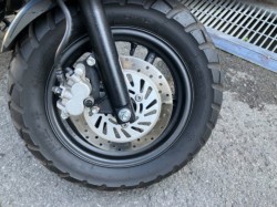 �z���_�G�C�v50�i���Q���F�a���s�j�摜7