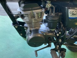 �z���_�G�C�v50�i���Q���F�a���s�j�摜9