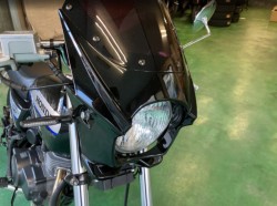 �z���_�G�C�v50�i���Q���F�a���s�j�摜10