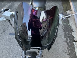 �z���_�G�C�v50�i���Q���F�a���s�j�摜11