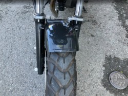 �z���_�G�C�v50�i���Q���F�a���s�j�摜17