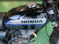 �z���_�G�C�v50�i���Q���F�a���s�j�摜14