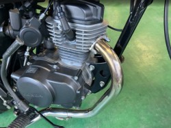 �z���_�G�C�v50�i���Q���F�a���s�j�摜15