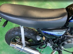 �z���_�G�C�v50�i���Q���F�a���s�j�摜16