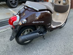 �z���_�W�����m�i���Q���F�a���s�j�摜5