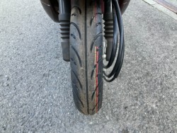 �z���_�W�����m�i���Q���F�a���s�j�摜7