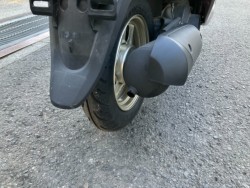 �z���_�W�����m�i���Q���F�a���s�j�摜8