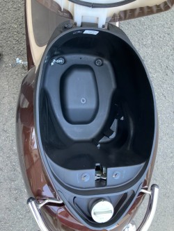 �z���_�W�����m�i���Q���F�a���s�j�摜14