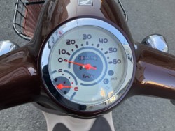 �z���_�W�����m�i���Q���F�a���s�j�摜11