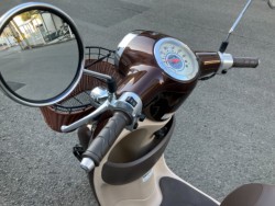 �z���_�W�����m�i���Q���F�a���s�j�摜9