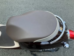 �z���_�W�����m�i���Q���F�a���s�j�摜13