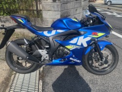 �X�Y�LGSX-R125�EABS�i���������]�s�j�摜1