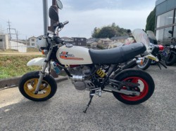 z_GCv100i]sj摜2