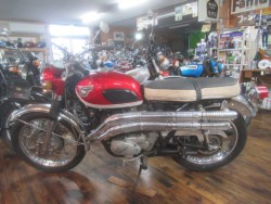 �J���T�LA1SS�i�������o�_�s�j�摜2