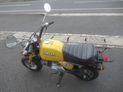 �z���_�S�����i�������o�_�s�j�摜5