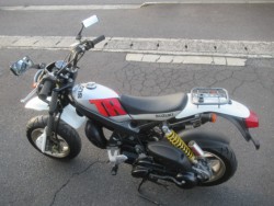 �X�Y�L�X�g���[�g�}�W�b�N110�U�i�������o�_�s�j�摜5