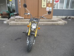 �z���_�S�����i�������o�_�s�j�摜7