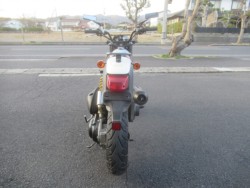 �X�Y�L�X�g���[�g�}�W�b�N110�U�i�������o�_�s�j�摜8