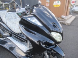 ���}�n�}�W�F�X�e�B250C�i�������o�_�s�j�摜8