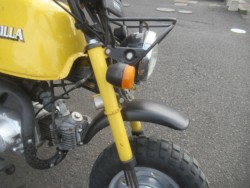 �z���_�S�����i�������o�_�s�j�摜11