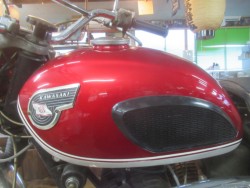 �J���T�LA1SS�i�������o�_�s�j�摜15