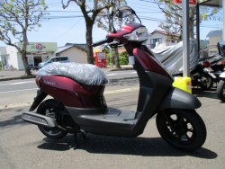z_^NgEx[VbNio_sj摜1
