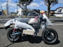 �z���_�����L�[125�i�������o�_�s�j�摜1