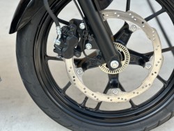 XYLGSX-S125 ABSiQsj摜11