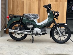 �z���_�N���X�J�u110�i���Q�������s�j�摜1