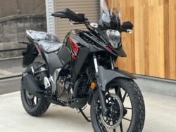 XYLVXg[250SXiQsj摜4