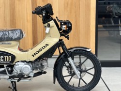 �z���_�N���X�J�u110�i���Q�������s�j�摜2