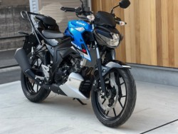 XYLGSX-S125 ABSiQsj摜4
