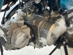 �z���_�����L�[�i���Q�������s�j�摜26