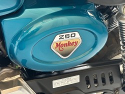 �z���_�����L�[�i���Q�������s�j�摜28