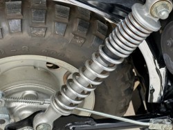 �z���_�����L�[�i���Q�������s�j�摜30