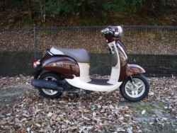 �z���_�W�����m�i�L�����L���s�������j�摜1