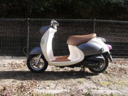 ���}�n�r�[�m�i�L�����L���s�������j�摜2