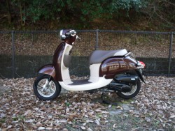 �z���_�W�����m�i�L�����L���s�������j�摜2