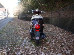 �z���_�W�����m�i�L�����L���s�������j�摜4