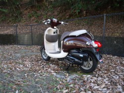 �z���_�W�����m�i�L�����L���s�������j�摜7