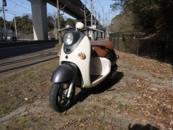 ���}�n�r�[�m�i�L�����L���s�������j�摜6