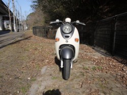 ���}�n�r�[�m�i�L�����L���s�������j�摜3