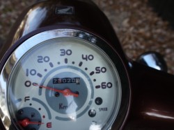 �z���_�W�����m�i�L�����L���s�������j�摜9