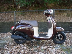 �z���_�W�����m�i�L�����L���s�������j�摜1