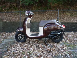 �z���_�W�����m�i�L�����L���s�������j�摜2