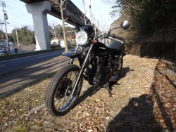 �J���T�L250TR�i�L�����L���s�������j�摜5